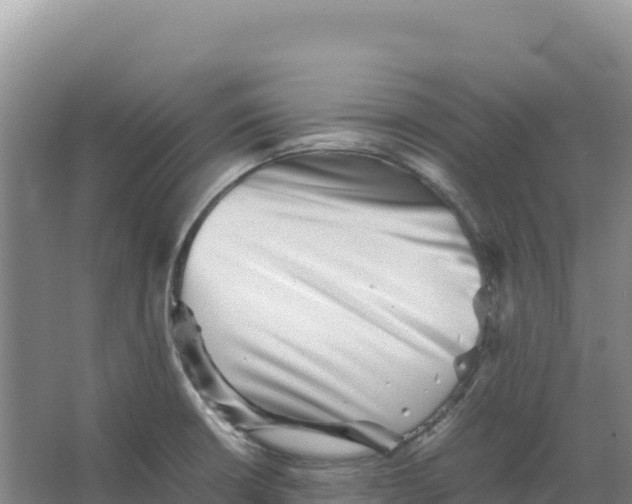 X0000066961426200604142103