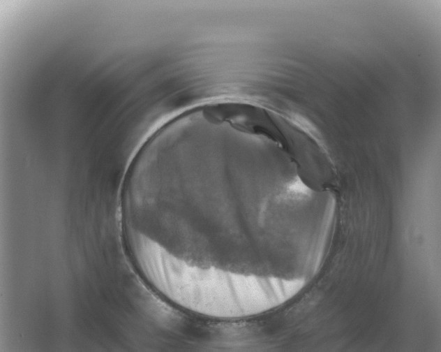 X0000066961428200604142103