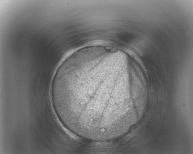 X0000066961429200604142103