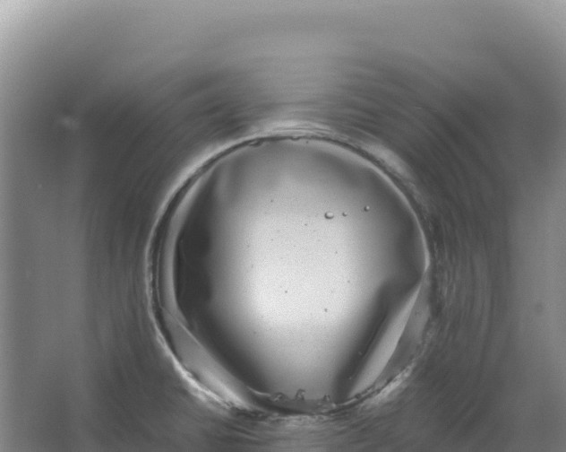 X0000066961430200604142103