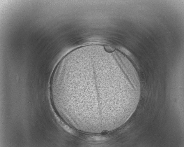 X0000066961431200604142103