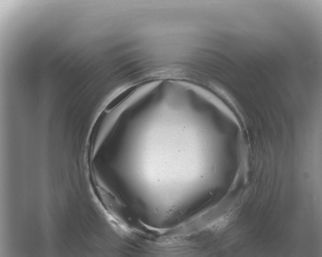 X0000066961434200604142104