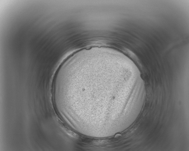 X0000066961435200604142104