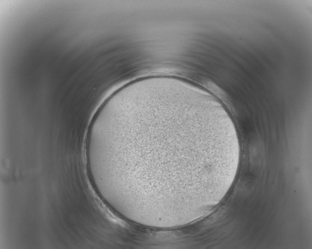 X0000066961436200604142104