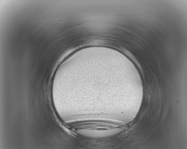 X0000066961437200604142104