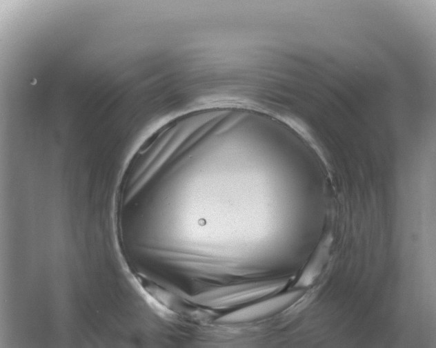 X0000066961438200604142104