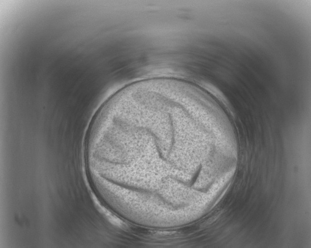 X0000066961439200604142104