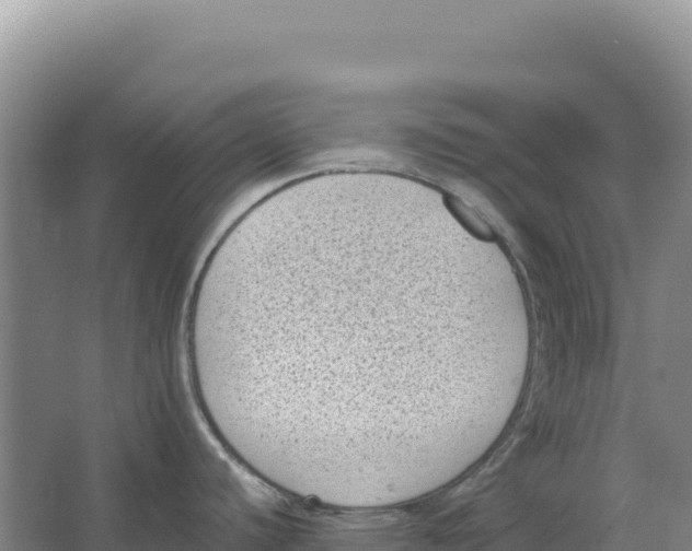 X0000066961440200604142104