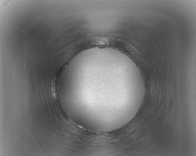 X0000066961442200604142103