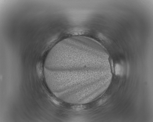 X0000066961444200604142103