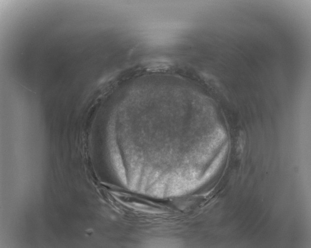 X0000066961445200604142103