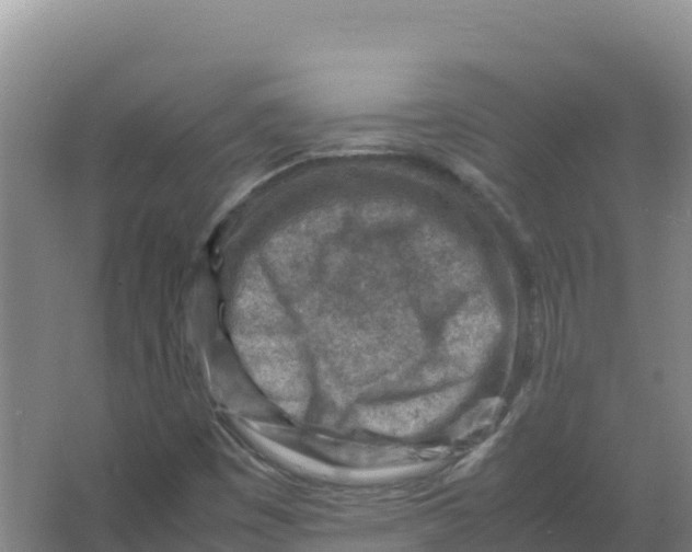 X0000066961449200604142103