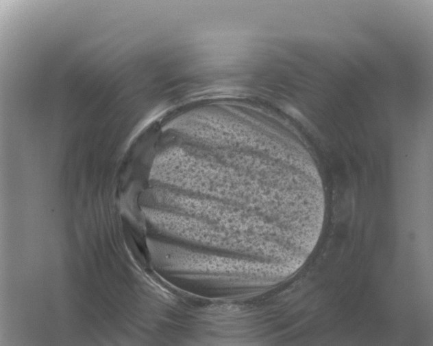 X0000066961450200604142103