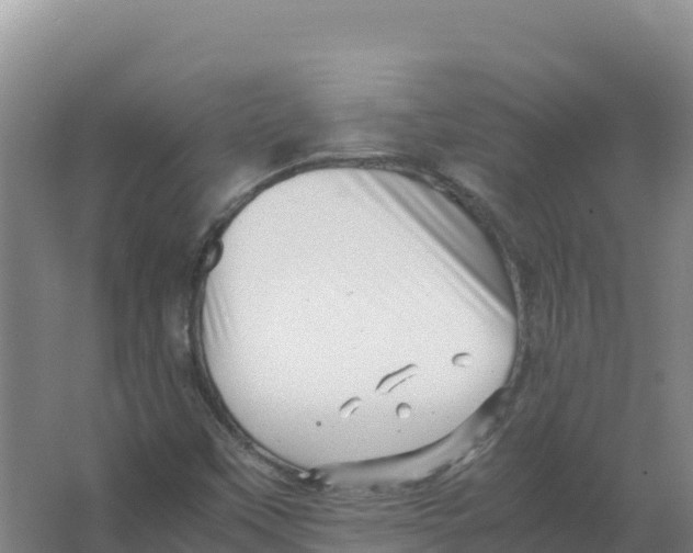 X0000066961451200604142103