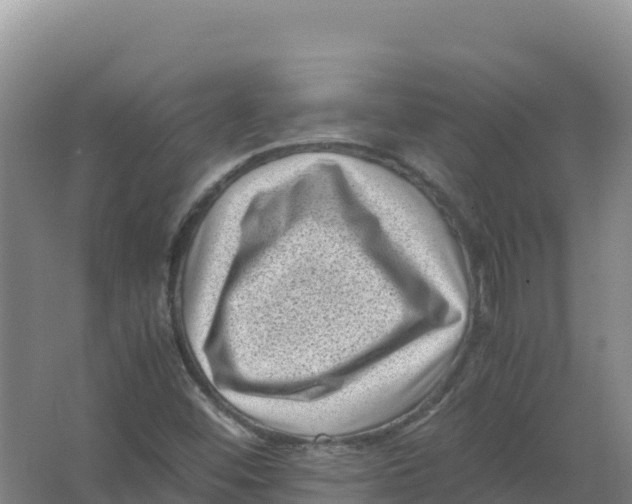 X0000066961452200604142103