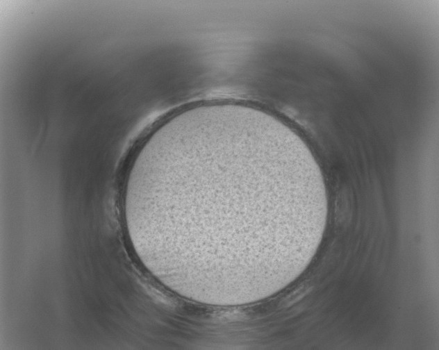 X0000066961454200604142103