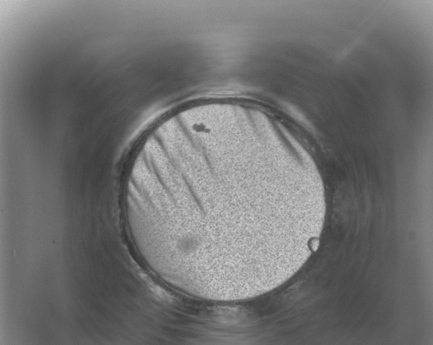 X0000066961456200604142103