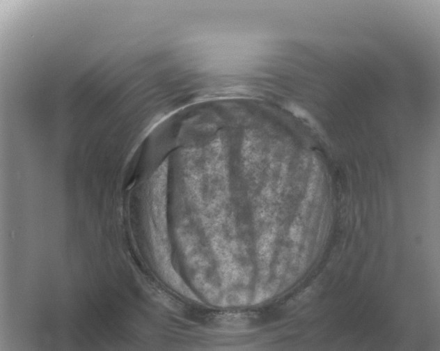 X0000066961457200604142103