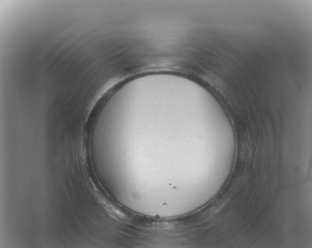 X0000066961458200604142103