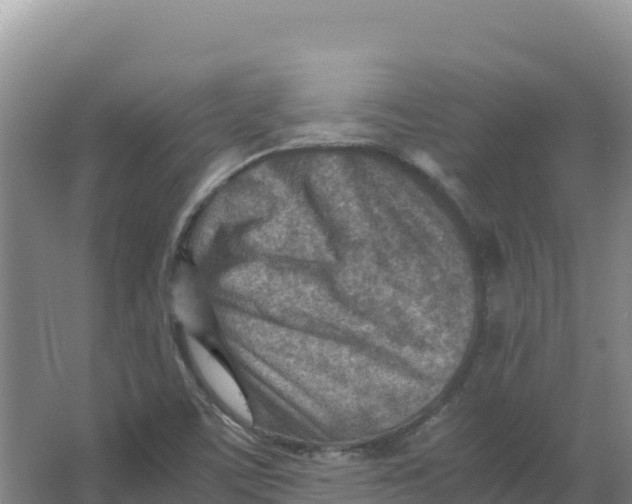 X0000066961459200604142103