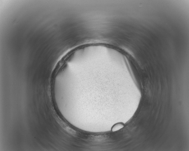 X0000066961460200604142103