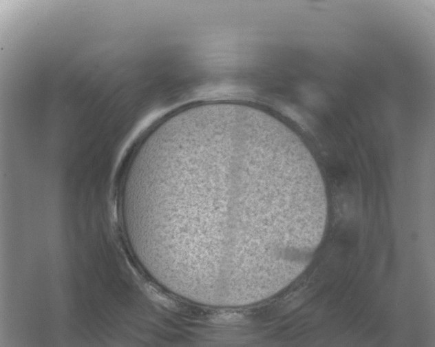 X0000066961462200604142102