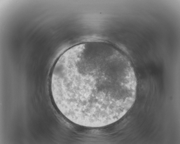 X0000066961463200604142102