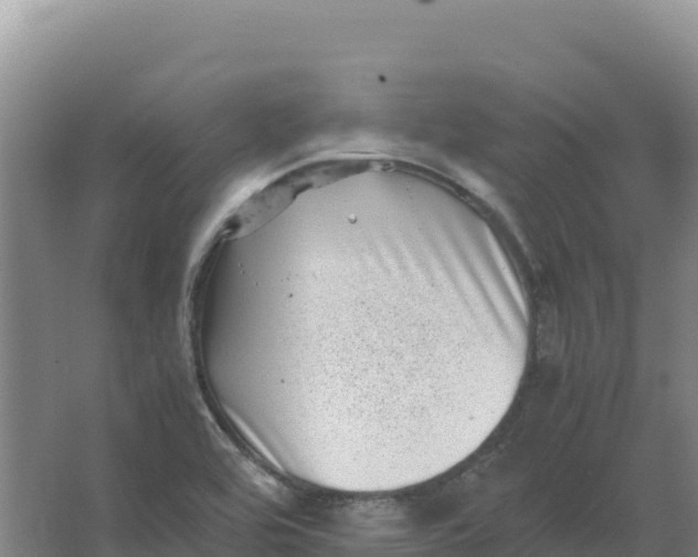 X0000066961464200604142102