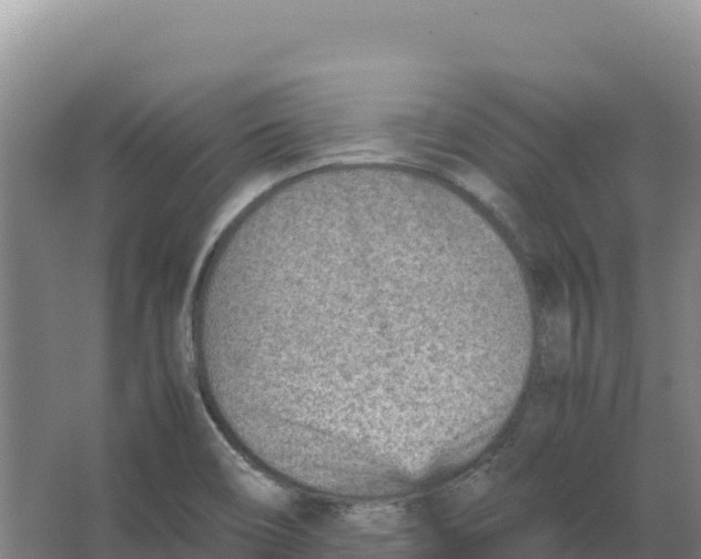 X0000066961466200604142102