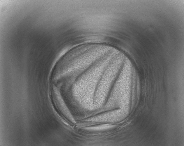 X0000066961467200604142102