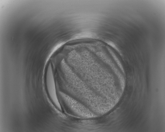 X0000066961469200604142102