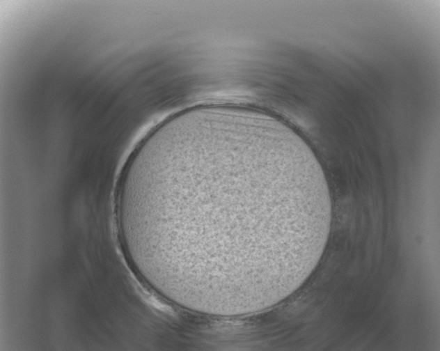 X0000066961470200604142102