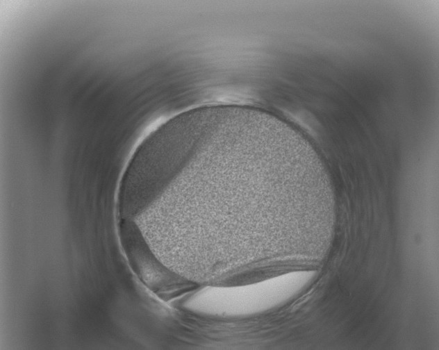 X0000066961471200604142102