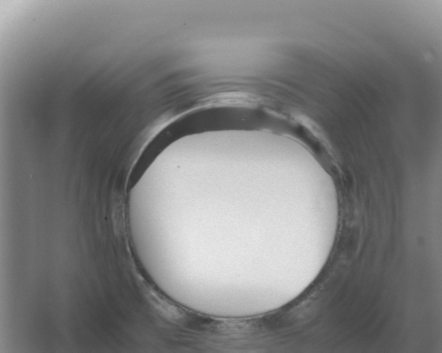 X0000066961473200604142102