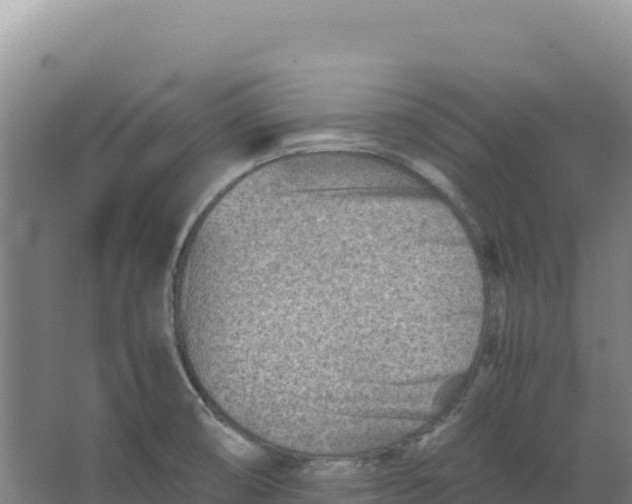 X0000066961474200604142102