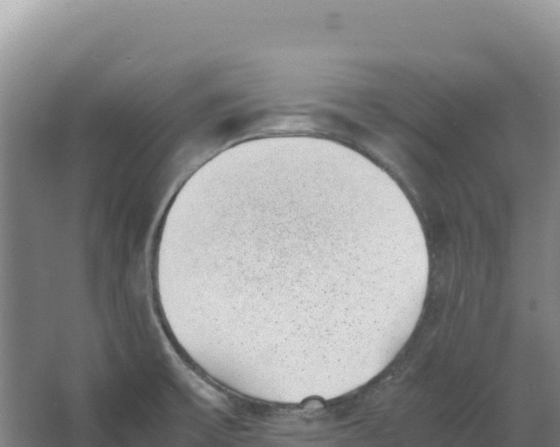 X0000066961475200604142102