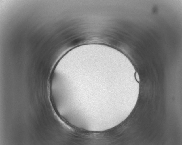 X0000066961476200604142102