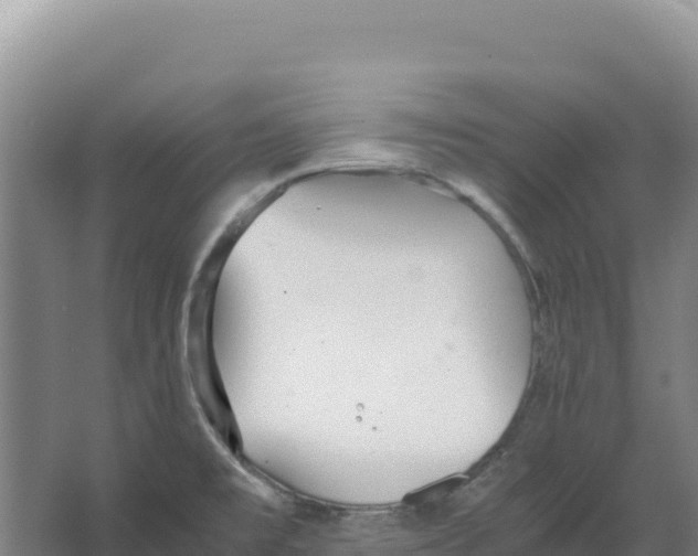 X0000066961477200604142102