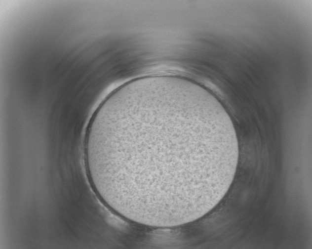 X0000066961478200604142102