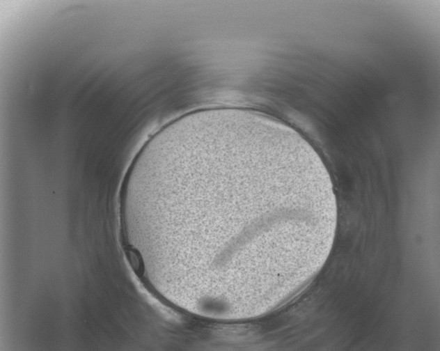 X0000066961479200604142102