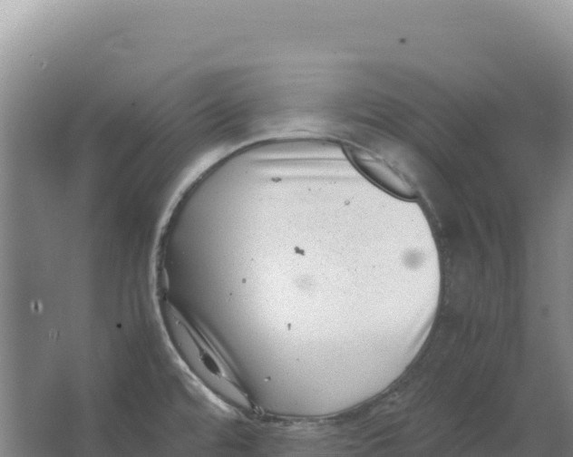 X0000066961480200604142102