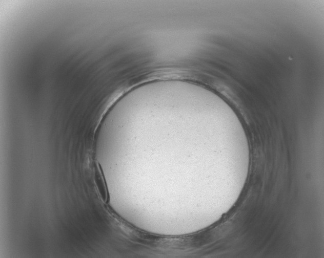 X0000066961481200604142102