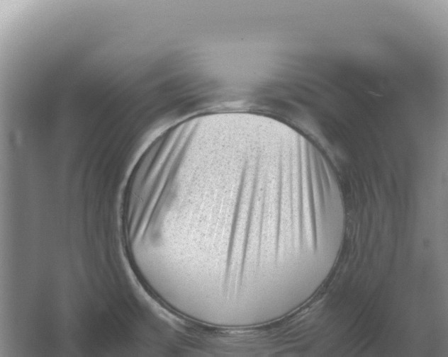 X0000066961483200604142102