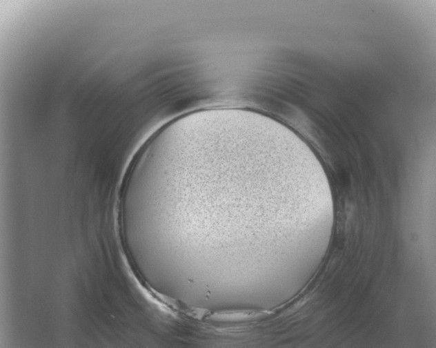 X0000066961484200604142102