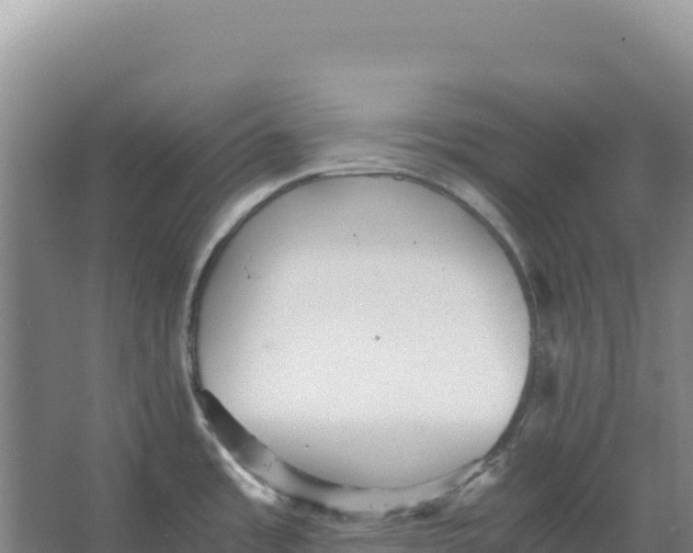 X0000066961485200604142102