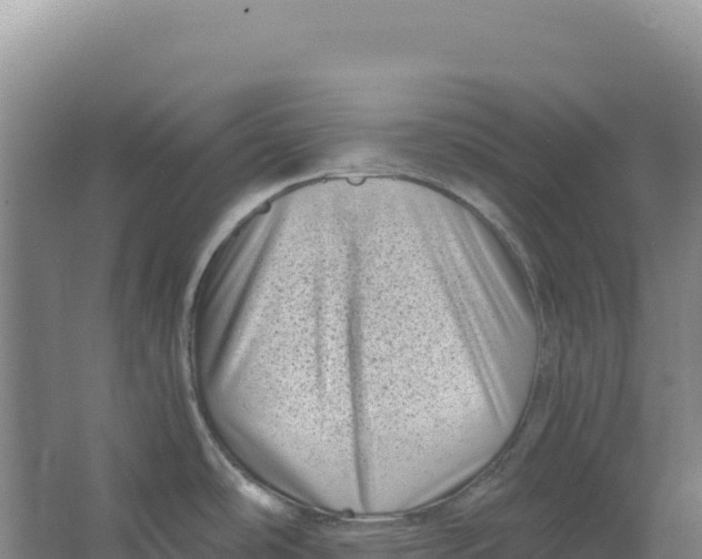 X0000066961486200604142102