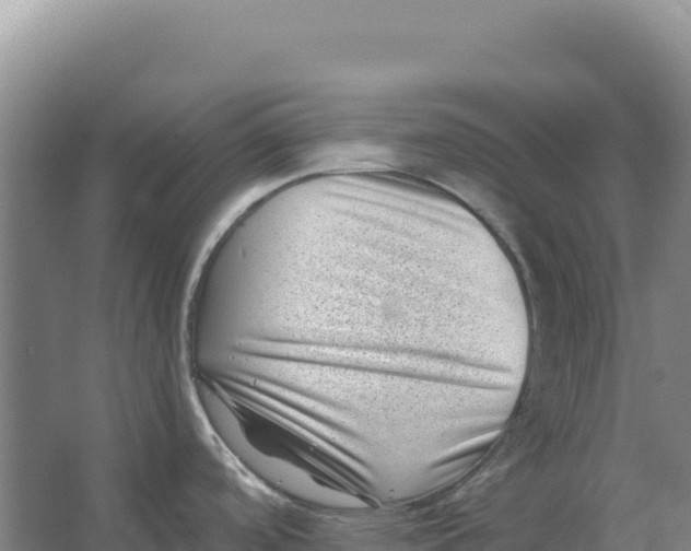 X0000066961488200604142102