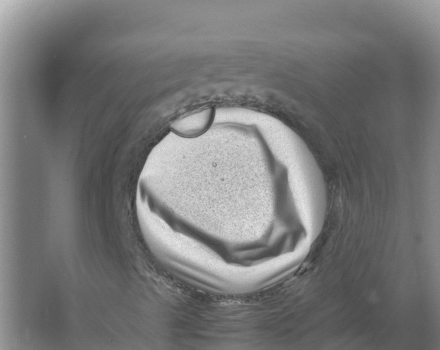 X0000066961489200604142101