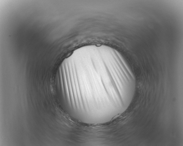 X0000066961490200604142101