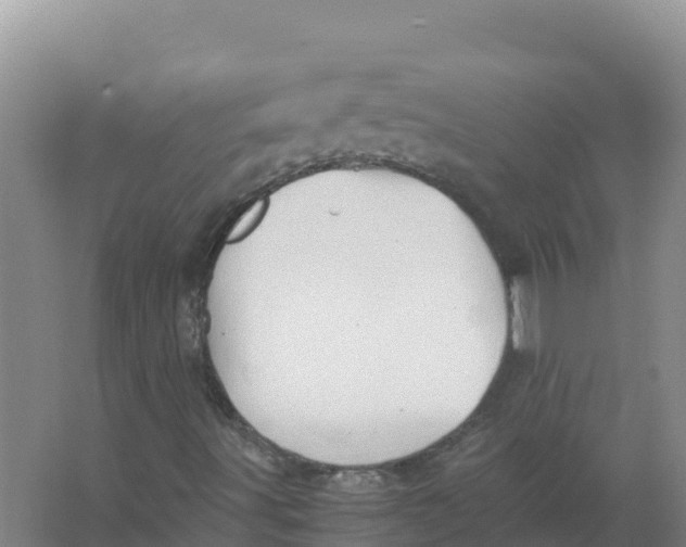 X0000066961491200604142101